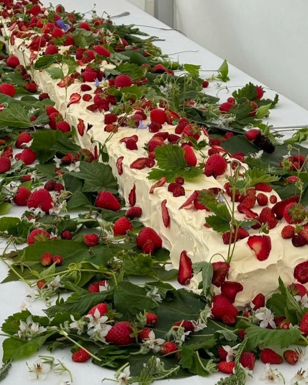 10 Major Cake Trends for 2026