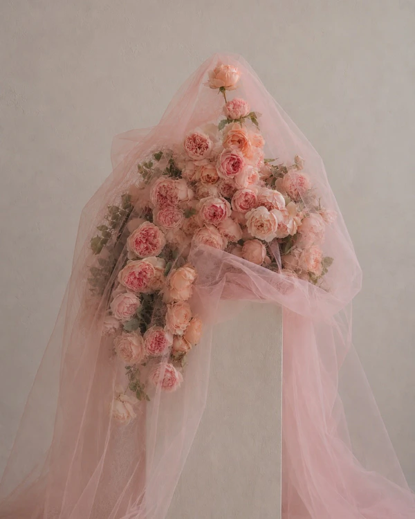 <a href="https://www.instagram.com/p/DbBEWJqAkYG/?img_index=3">Goshá</a>