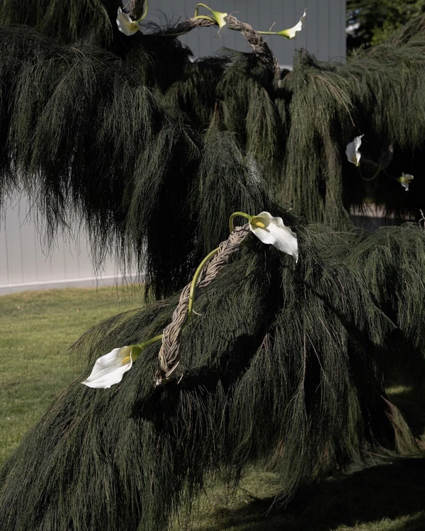 Trend: Overgrown Foliage Installations — photo 2