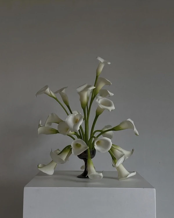 38 Calla Lily Arrangement Ideas