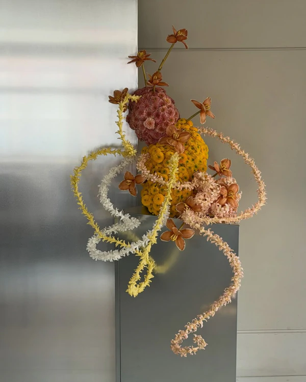 <a href="https://www.instagram.com/p/DWjc7rEDA4M/?igsh=MXJvMGF1ZXFrZ3A4NQ==">Midi Flowers</a>
