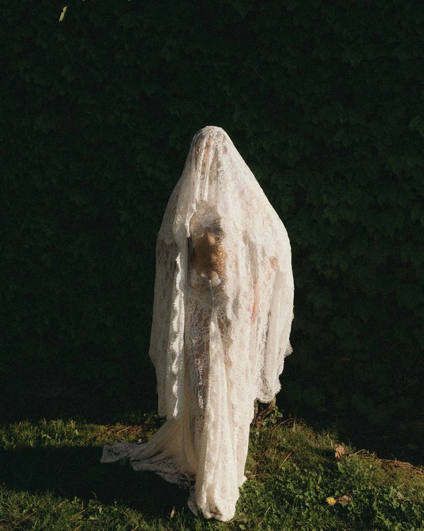 Laced in Light & Ivy