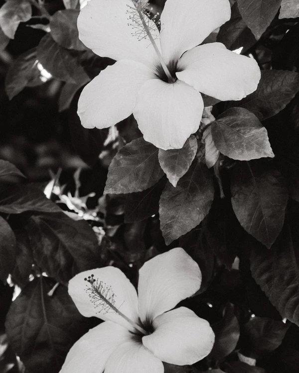 A Romantic and Sunlit Waterfront Wedding Weekend in Bodrum