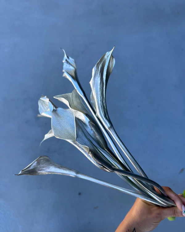 14 Major Floral Trends for 2026