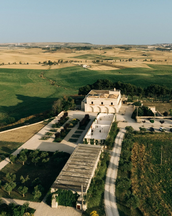 <a href="https://www.instagram.com/masseriafontanadivite/p/DNfZT26Ml9A/?hl=it">Masseria Fontana di Vite</a>, Photography: Danilo Giungato