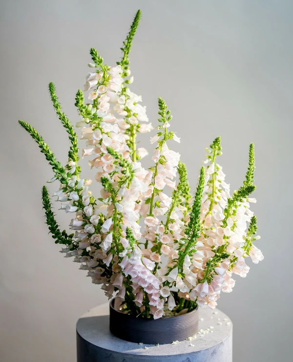 «There’s Never a Set Formula at Blooming Haus.» - Master Florist Michal Kowalski