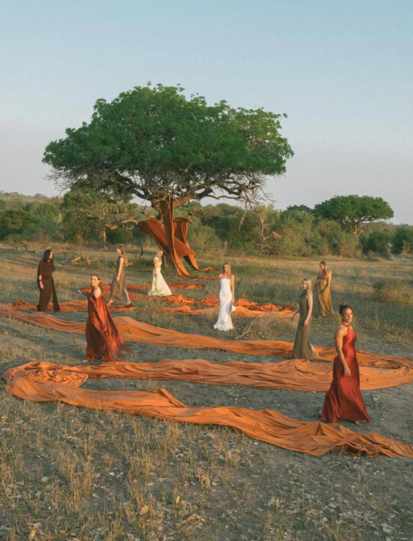<a href="https://thewed.com/magazine/a-wildly-romantic-safari-wedding-weekend-in-the-heart-of-south-africa">THE WED</a>, Photography: <a href="https://www.instagram.com/ladichosa/">La Dichosa</a>