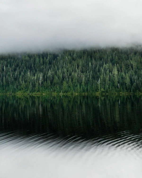6 Websites for Finding Inspiration