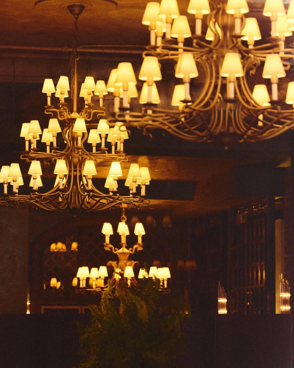 <a href="https://www.instagram.com/thompsonhotels/p/DRxukaxkcYz/?img_index=2" target="_blank">The Beekman Hotel</a>