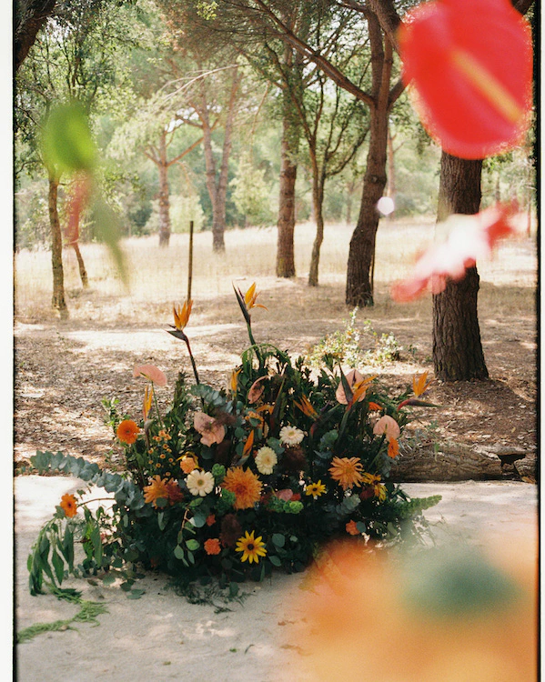 A Colorful Celebration in the Portuguese Countryside