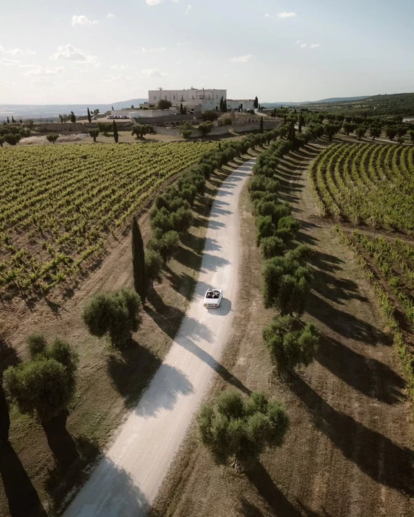 10 Dreamy Vineyard Wedding Venues in Italy for an Unforgettable Celebration