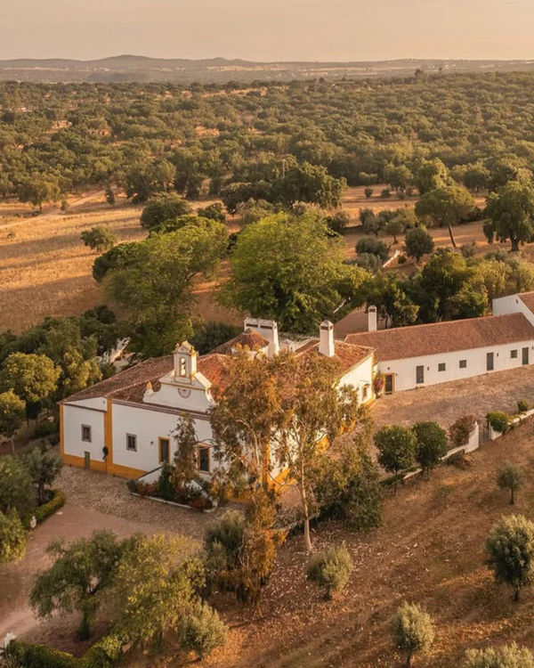 <a href="https://www.instagram.com/castelo_ventoso_estate/" target="_blank">Castelo Ventoso Estate</a>