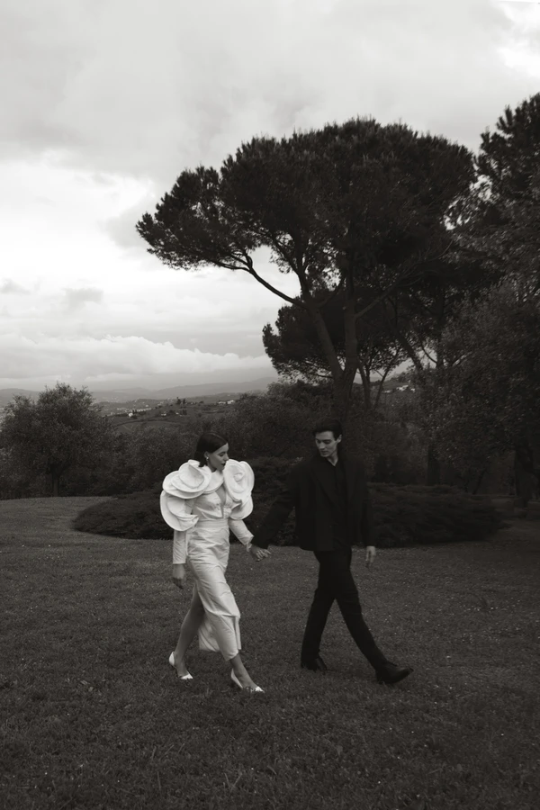 Meet Me at the Olive Grove