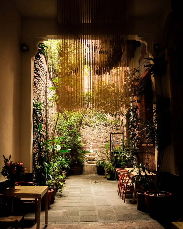 <a href="https://www.instagram.com/elpatio77/">El Patio 77</a>, Photography: <a href="https://www.instagram.com/valente.paul/p/DPWTDJuEZIZ/">Paulo</a>