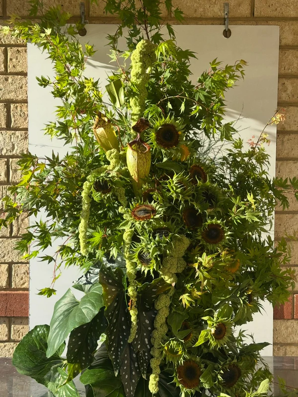 <a href="https://www.instagram.com/sir_botanical/p/DQ846wGEr7_/">Sir Botanical</a>