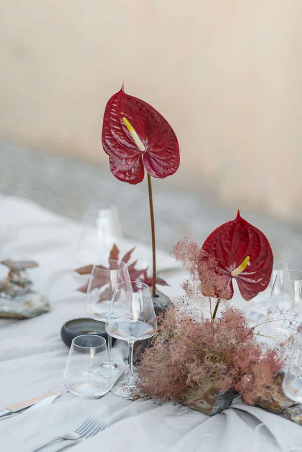 A Contemporary Winery Wedding