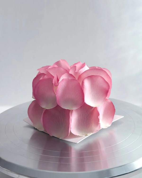 <a href="https://www.instagram.com/p/DTLlMG9ETHX/?img_index=1" target="_blank">Thomas Chou</a>