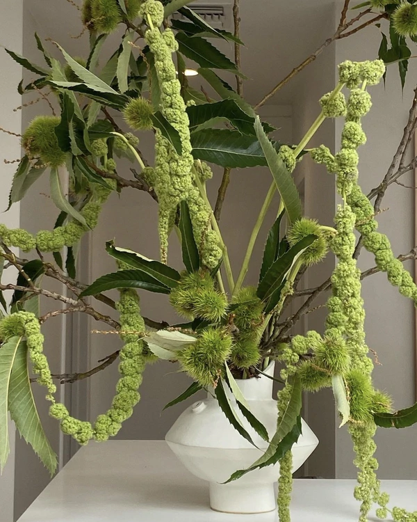 Trend: Overgrown Foliage Installations