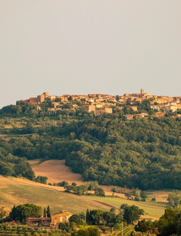<a href="https://www.instagram.com/p/DXJmZdRlAgY/?img_index=1">Castello di Casole</a>