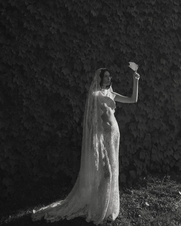 Laced in Light & Ivy