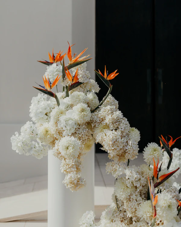 A Vibrant Mexican Wedding on the Baja Peninsula
