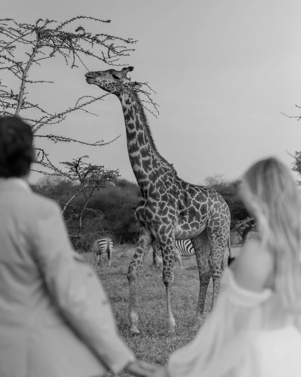 Photography: <a href="https://www.juliagoldbergphotography.com/portfolio/tanzania-safari-elopement">Julia Goldberg</a>