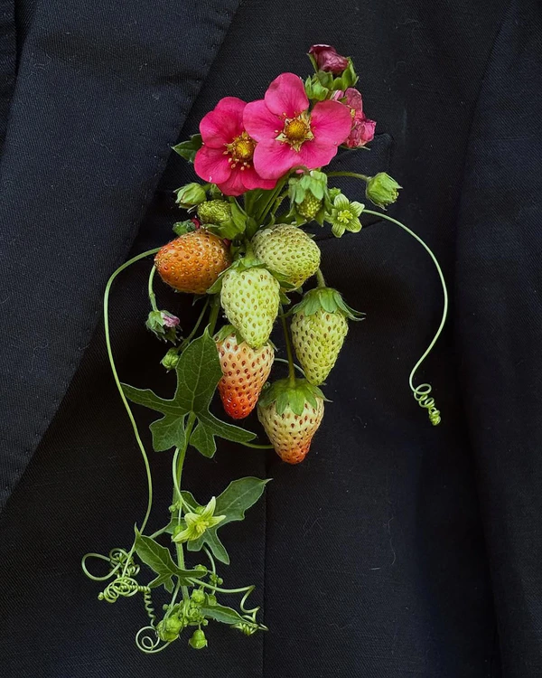 <a href="https://www.instagram.com/bloomsuncut/p/DZMe6FEjVam/">Blooms Uncut</a>
