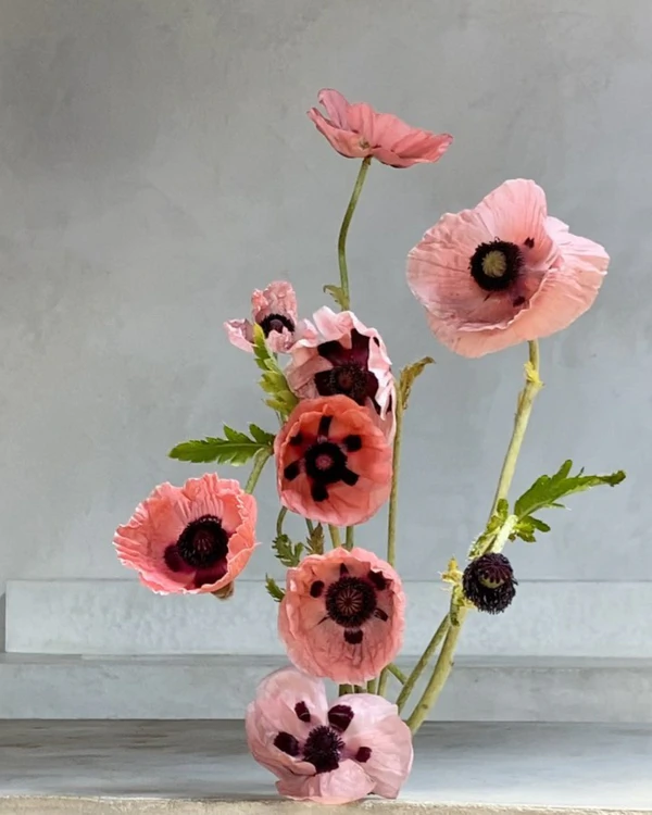 <a href="https://www.instagram.com/p/CebWpYlOJJW/?img_index=1">Pomona Floral</a>