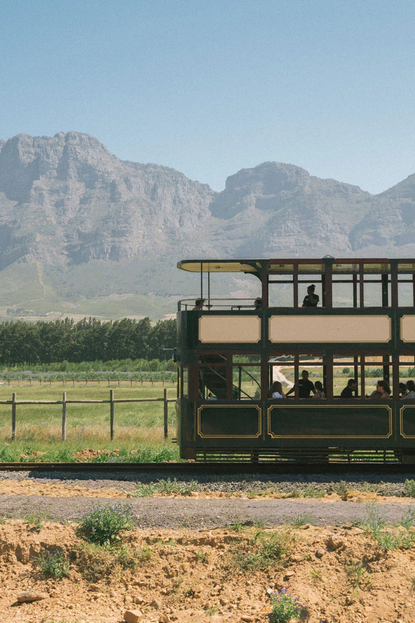 A Wildly Romantic Safari Wedding Weekend in the Heart of South Africa