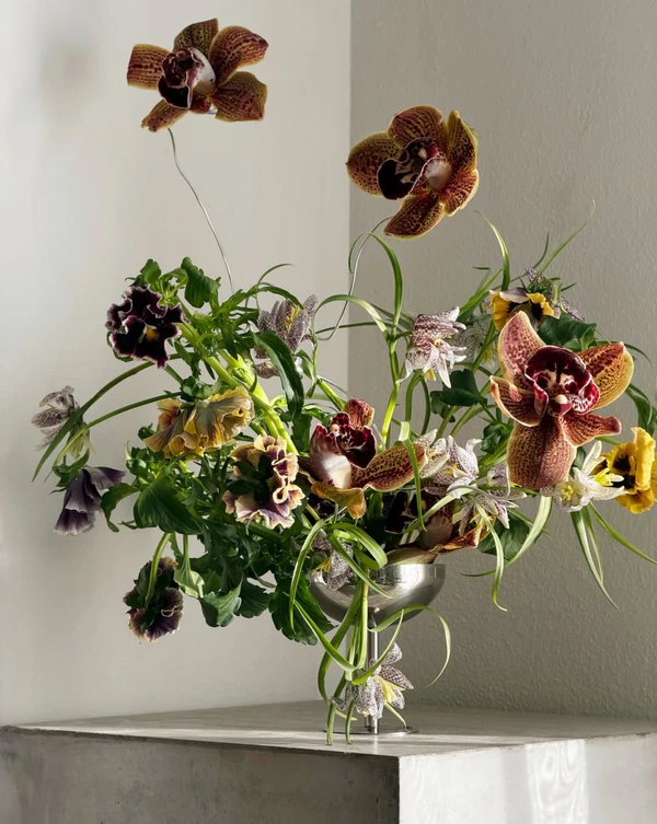 <a href="https://www.instagram.com/p/DVRY_vRkeqn/?img_index=1">The Flowerslinger</a>