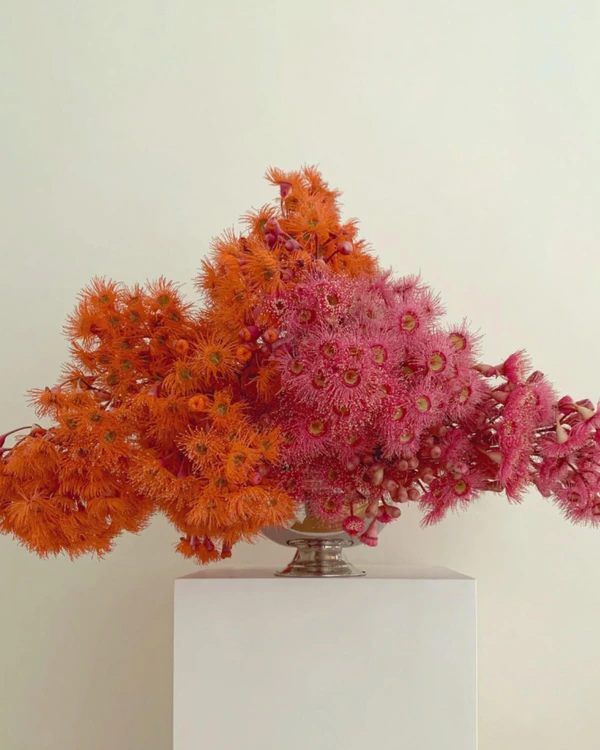 The Top Summer Wedding Floral Color Trends for 2025