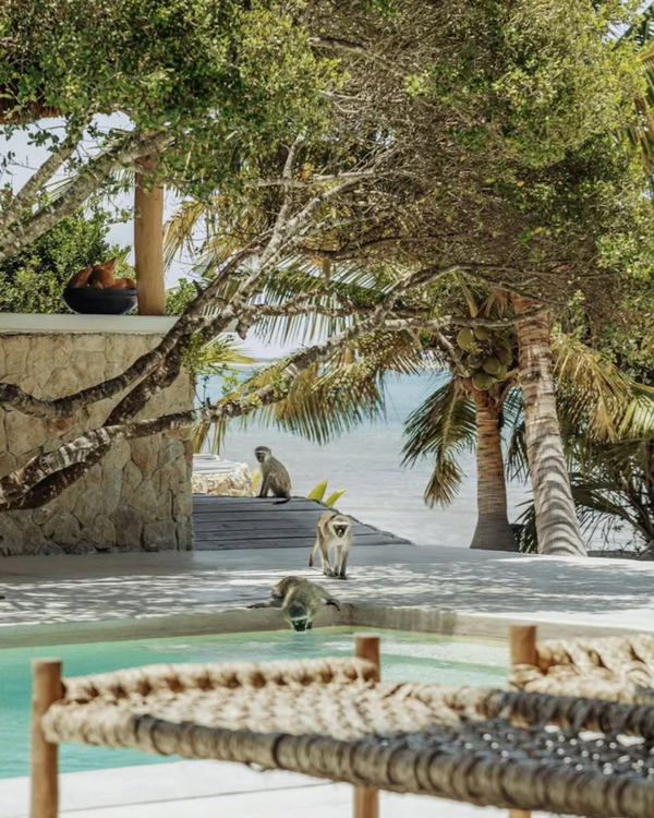 The Top Travel Trends for 2026 According to Pinterest