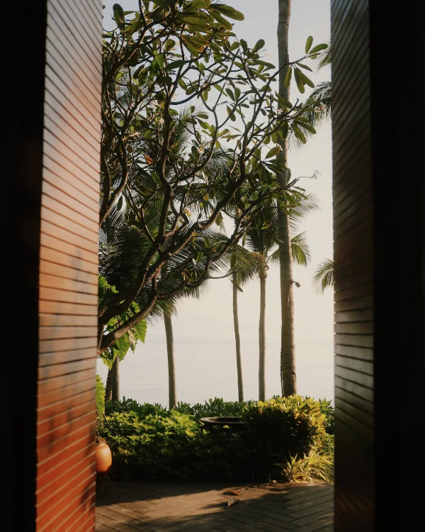 Where Was The White Lotus Season 3 Filmed? All the Stunning Locations Revealed — photo 2
