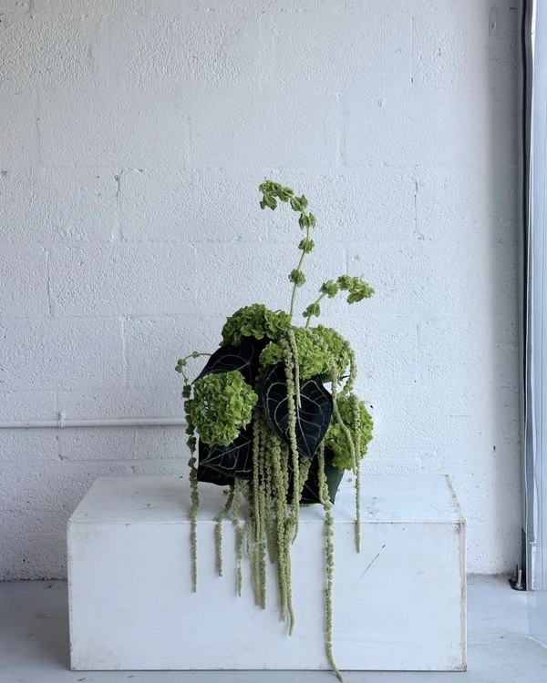 Trend: Overgrown Foliage Installations