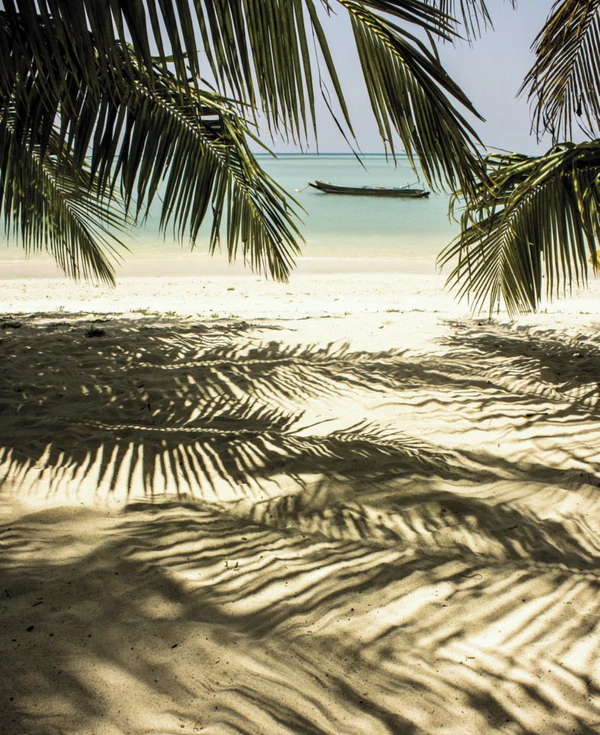 8 Best Wedding Venues in the Dominican Republic