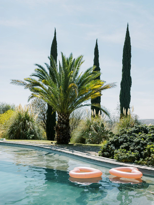 Picture-Perfect San Miguel de Allende Wedding