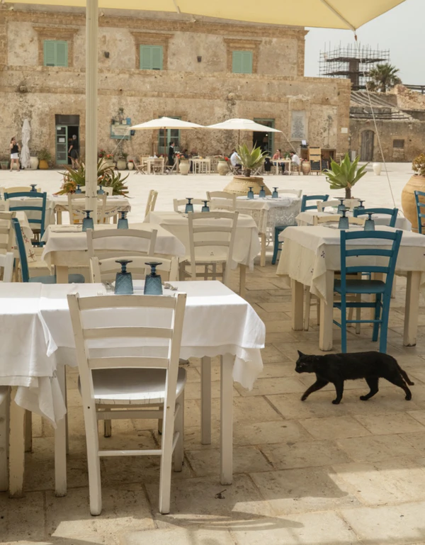 <a href="https://www.instagram.com/p/DahuTYnjb6h/?img_index=1">Taverna La Cialoma</a>