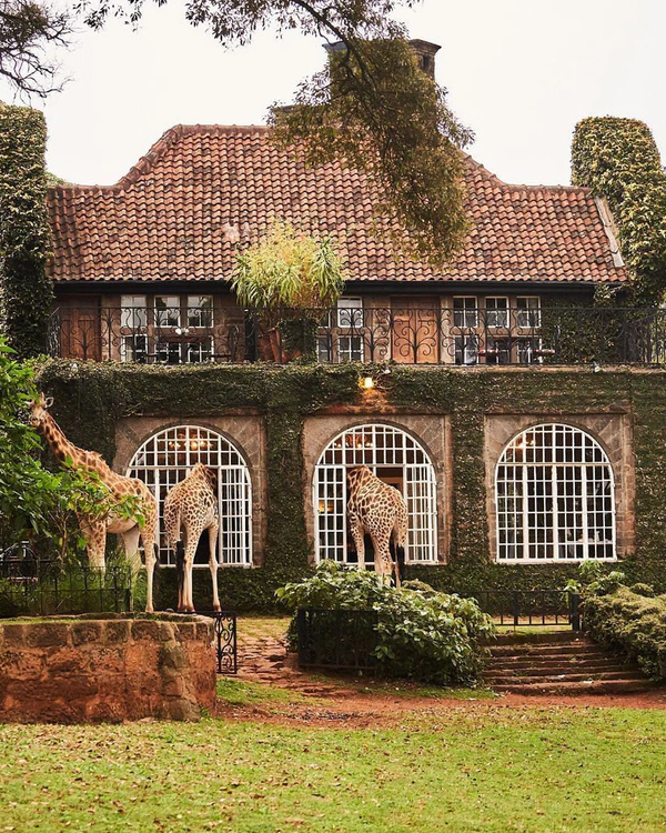 7 Extraordinary Honeymoon Hotels Around the World