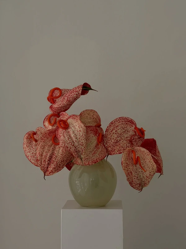 <a href="https://www.instagram.com/p/DYNXtSkjlCv/?img_index=11"><span>Liza Langen Flowers</span></a>