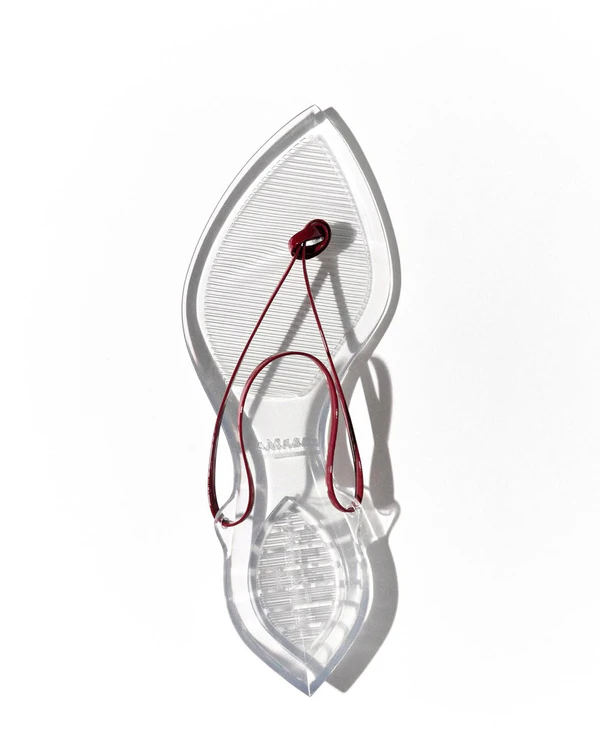<a href="https://www.maison-alaia.com/en-us/product/sandals/invisible-thong-in-patent-leather-AA3S1005I037U18.html">MAISON ALAÏA Invisible Jelly Thong</a>, $850