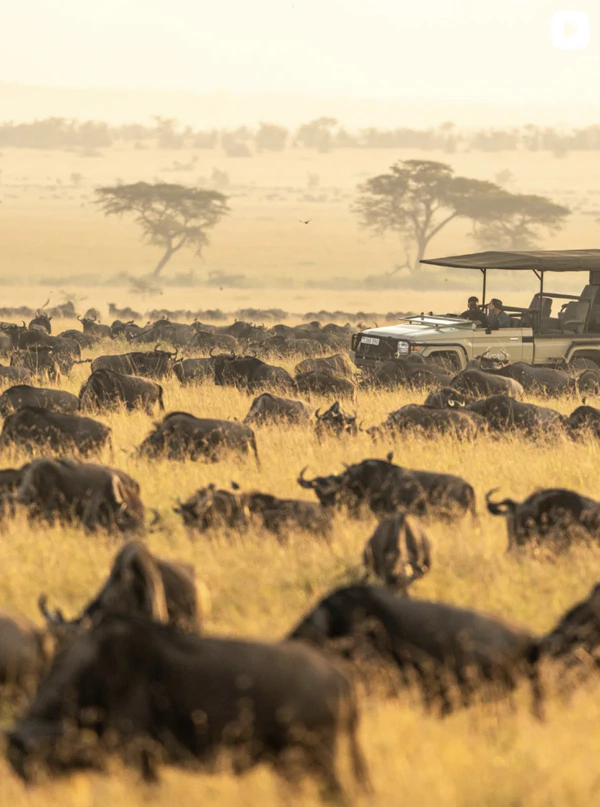 <a href="https://www.instagram.com/p/DaKUBA6IvsN/?hl=en">Singita Sasakwa Lodge</a>