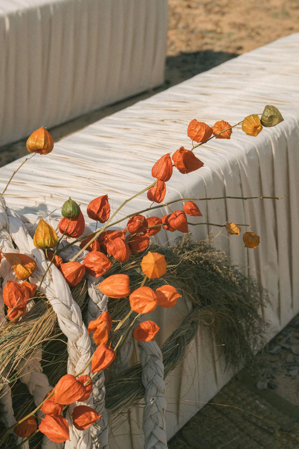 A Wildly Romantic Safari Wedding Weekend in the Heart of South Africa