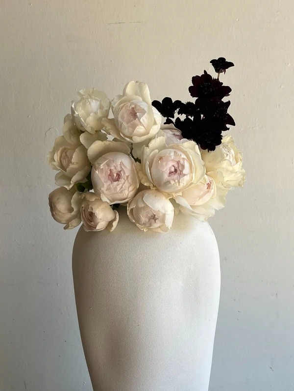 <a href="https://www.instagram.com/p/DM-uMR3Jdb3/?img_index=11">Brrch Floral</a>