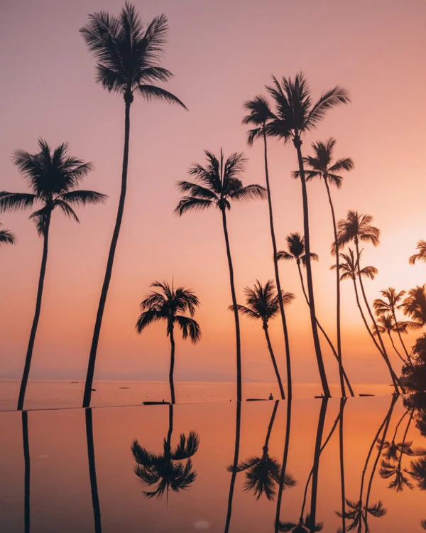 Where Was The White Lotus Season 3 Filmed? All the Stunning Locations Revealed
