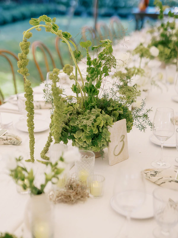 Chloe Alise Events, wedding planners in California, USA — portfolio photo 6