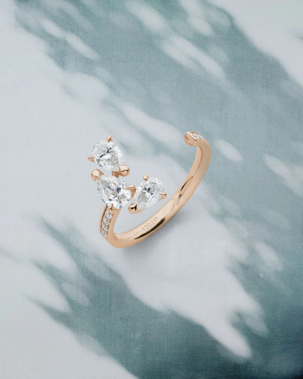 <a href="https://www.instagram.com/repossi/p/DX__E6gmmhz/">Repossi</a>