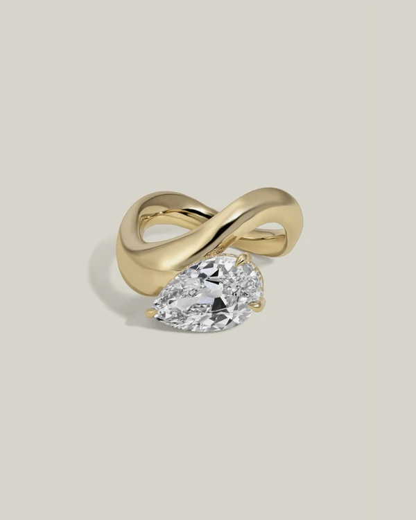 <a href="https://jonneamaya.com/capsule-collection/pave-basket-setting-2/">JONNE AMAYA Ring</a>, $3,750