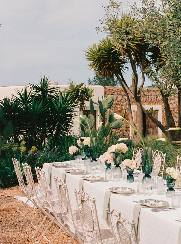 Meet Me Under The Olive Trees
