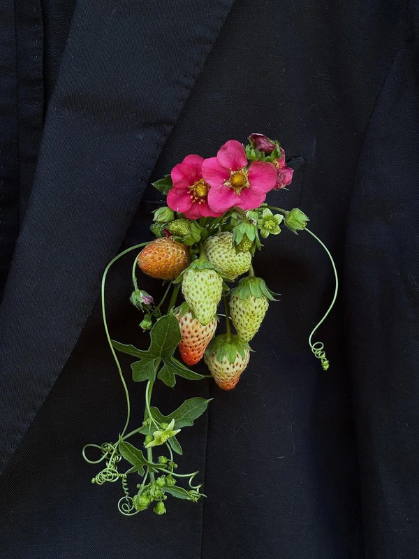 <a href="https://www.instagram.com/p/DZMe6FEjVam/?img_index=1">Blooms Uncut</a>