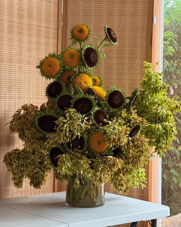 <a href="https://www.instagram.com/p/DNohrAkS0oH/?img_index=1">PüL Flower</a>
